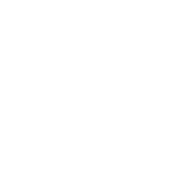 Golden Fried Chicken